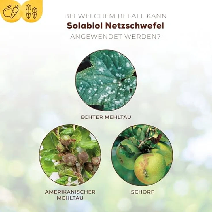 SBM Solabiol Netzschwefel, 75 g – Bild 4