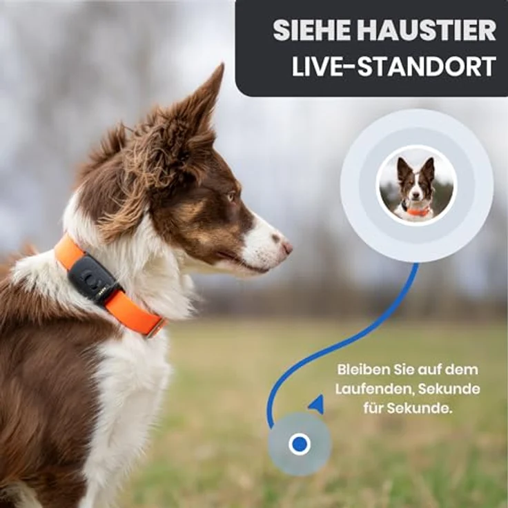 Atto Pro GPS-Tracker für Hunde & Katzen mit 4G, Echtzeit-Tracking, Fluchtalarm & unbegrenzter Reichweite – wasserdicht, mini – Bild 6