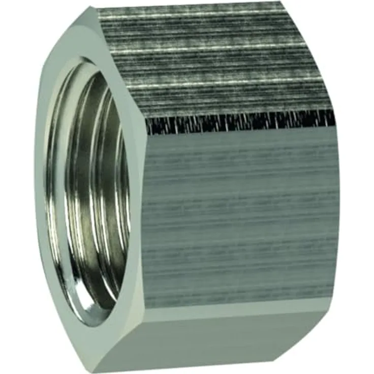 RIEGLER Verschlusskappe Sechskant, G 1 1/4, SW 47, Messing vernickelt, max. 25 bar, max. 150 °C