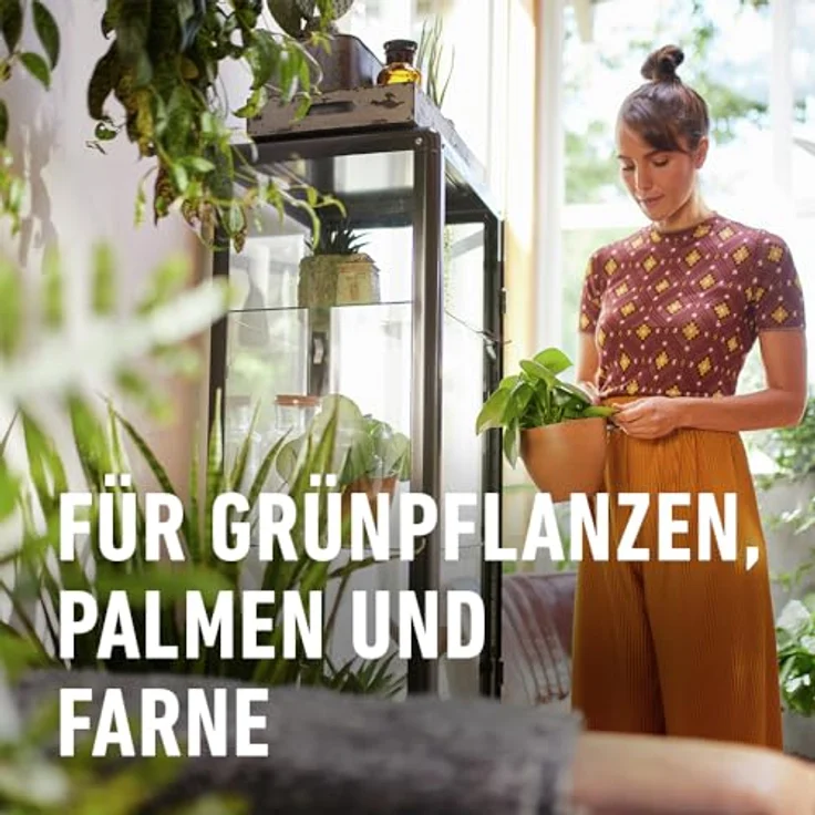 COMPO Sana Grünpflanzen- und Palmenerde 10 Liter – Bild 6