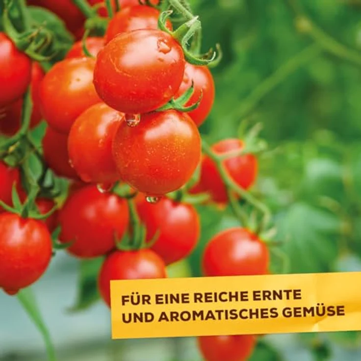 SBM Solabiol Tomatendünger, 0,75 kg – Bild 4