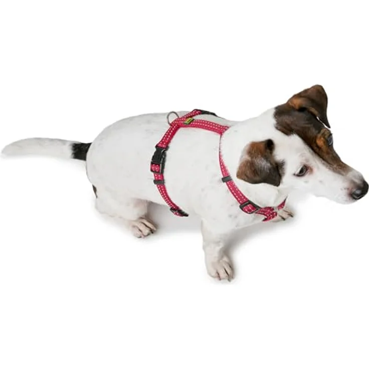 HUNTER Geschirr Tripoli (Himbeer, XXS) für kleine Hunde und Welpen mit Reflektorstreifen – Bild 3