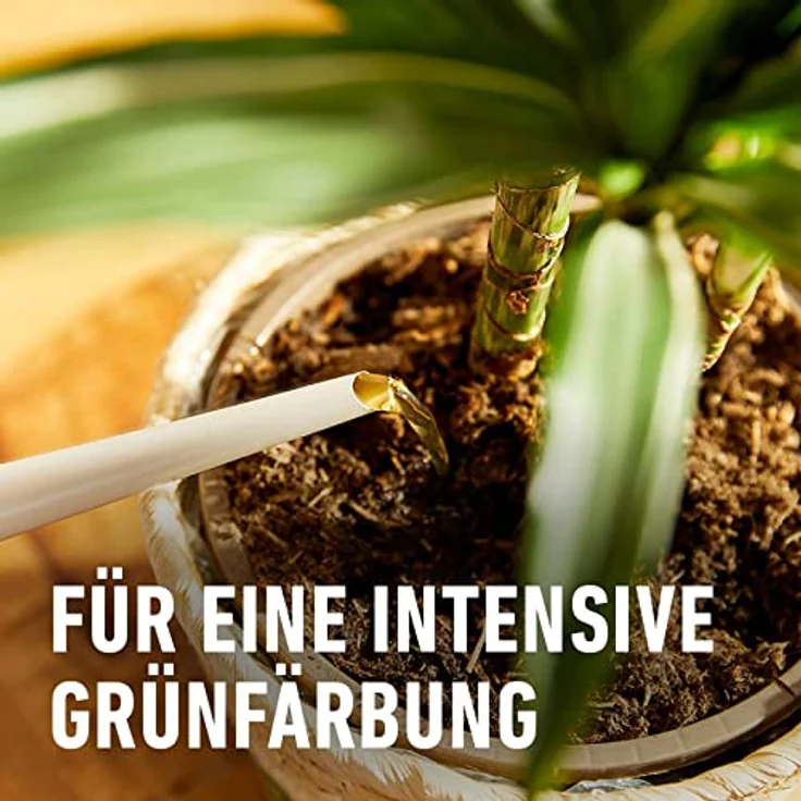 COMPO BIO Palmendünger, Spezial-Flüssig-Dünger für Zimmer-, Balkon- und Terrassenpflanzen mit extra Magnesium und Eisen, 500 ml – Bild 5