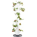 Gusta Garden Hochbeet, Sissi Strawberry Erdbeerbaum Classic Weiß - Vertikales Pflanzsystem für gesunde Erdbeeren