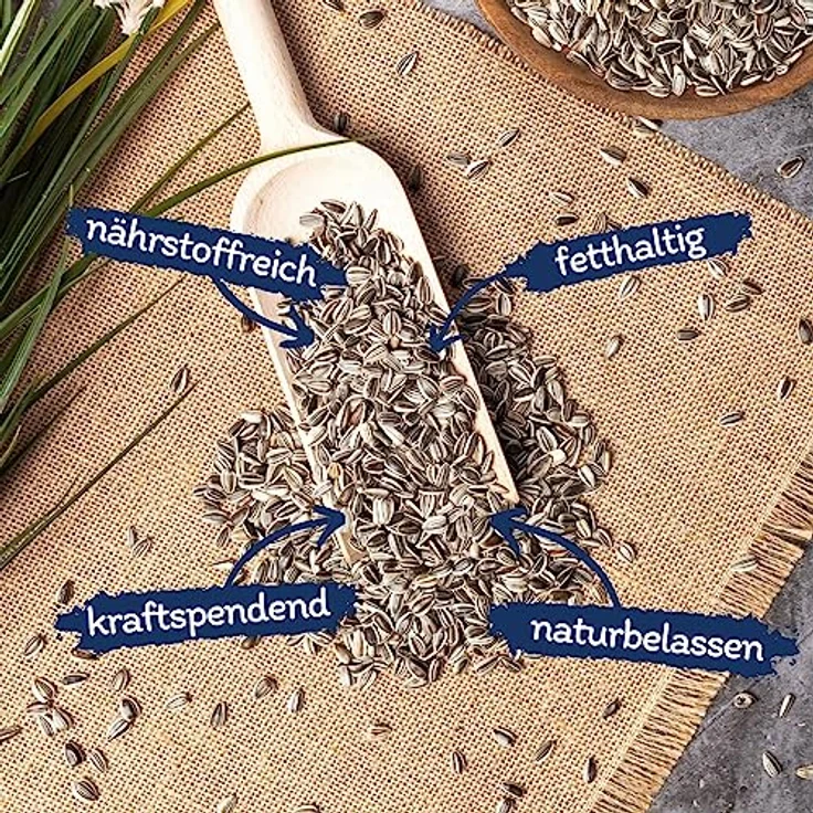 Lyra Pet® | 25 kg Sonnenblumenkerne Gestreift | Wildvogelfutter für Sommer & Winter | Ideal für Freilebende Vögel | Vogelfutter für das Ganze Jahr | Ölreiches Streufutter | Kräftige & Gesunde Schnäbel - Preisvergleich – Bild 2
