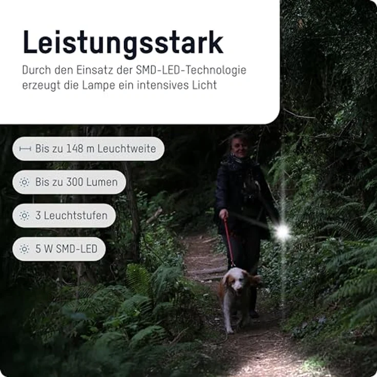 ANSMANN LED Adventure Taschenlampe, robuste Outdoor Taschenlampe mit 300 lm, IP44 spritzwassergeschützt, 3 Leuchtmodi, batteriebetrieben, ideal für Camping & Angeln – Bild 2