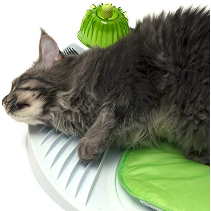 Catit Catnip/Katzenminze Spray für Katzen, 60 ml – Bild 3