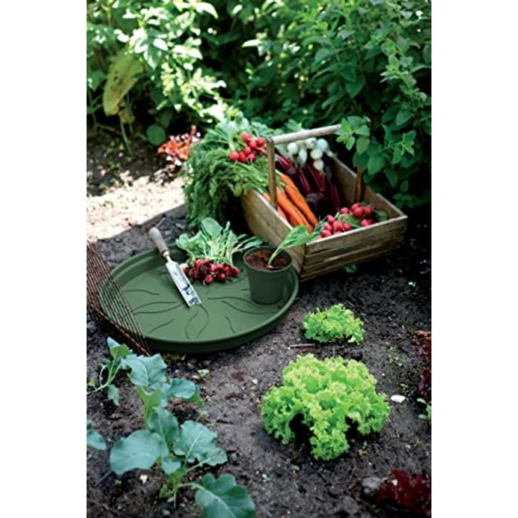 elho green basics untersetzer 14cm Untersetzer - laubgrün – Bild 6