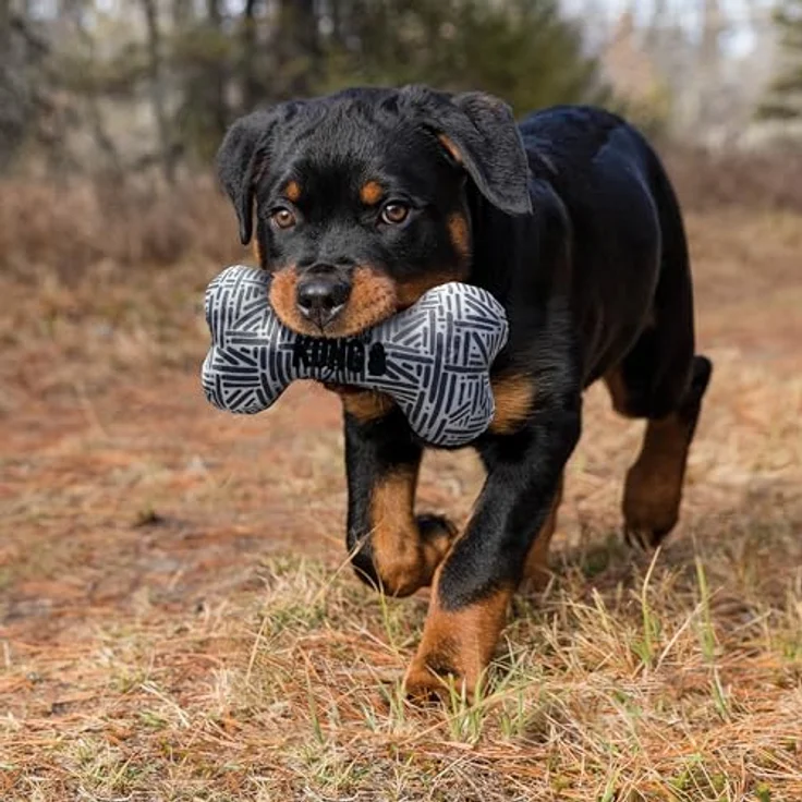 KONG Maxx Bone Squeak Toy S/M (634.7350) - Tierspielzeug mit Squeaker, Größe S/M, robust – Bild 3