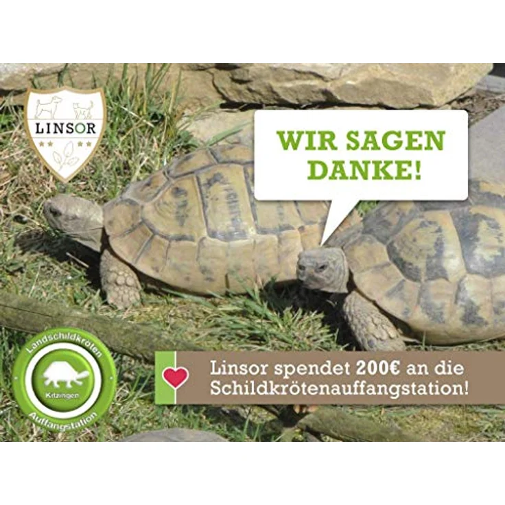 Linsor Schildkröten Blumenmischung, 50 g Saatgut für 17–50 m² fressbare Wildblumen für Landschildkröten – Bild 3