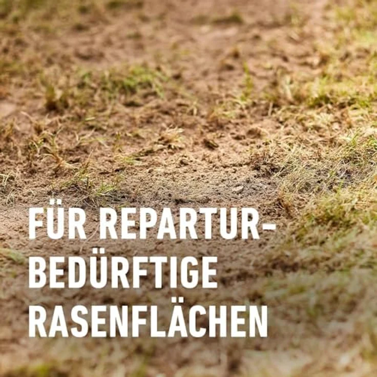 COMPO Turbo‑Nachsaat Premium Rasensamen, 5,0 kg für 250 m², schnellkeimend und strapazierfähig, ideal für kahle Stellen – Bild 4