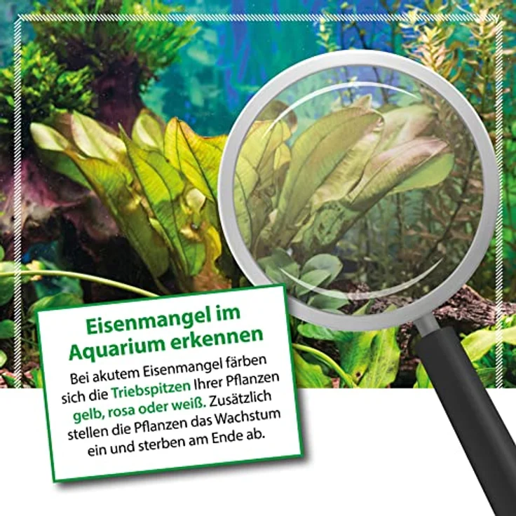 Microbe-Lift - flüssiger Eisen Dünger für Pflanzen Plants Fe 473 ml – Bild 7