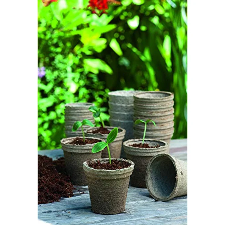 Romberg Anzuchttopf CLASSIC, 48er Set rund, biologisch abbaubar, 8 cm Ø, 100% torffrei – Bild 2