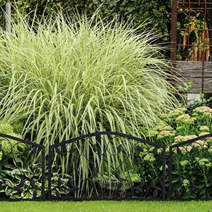 relaxdays Beetbegrenzung Beetzaun 4-teilig antik, Schwarz, dekoratives Eisen-Design, vielseitig anpassbar – Bild 2