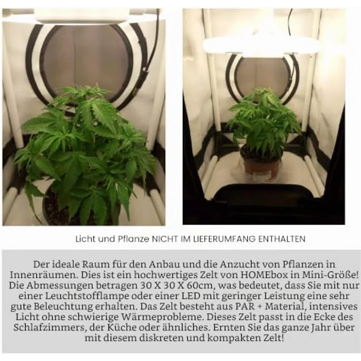 Homebox Q30 Ambient, Mini Gewächshaus 30x30x60cm mit lichtdichten Reißverschlüssen und wasserundurchlässigem Bodenelement – Bild 8