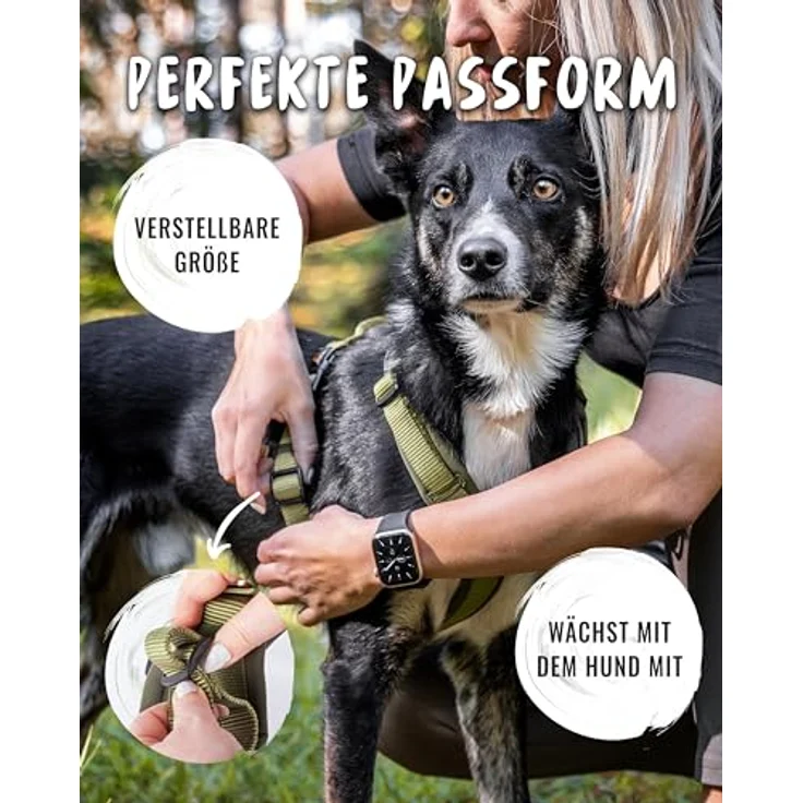 Rudelkönig Hundegeschirr Bella, gepolstertes Y-Design Brustgeschirr mit Haltegriff, verstellbar für kleine und mittelgroße Hunde – Bild 3