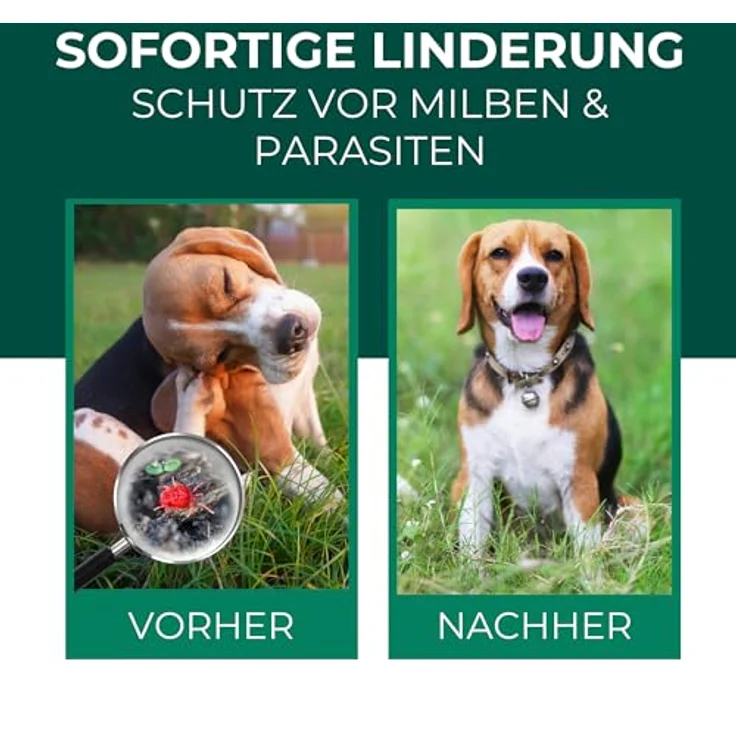 Silberkraft Grasmilben-Ex Spray für Hunde, 500 ml, effektive Linderung bei Juckreiz - gegen Milben, Parasiten, Ungeziefer – Bild 2