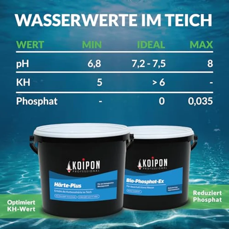 KOIPON Immerklar 1 kg, Natürlicher Teichwasseraufbereiter für klares Teichwasser, gegen Schwebealgen und trübes Wasser, ohne Chemie – Bild 4