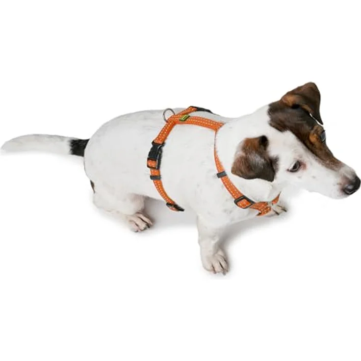 HUNTER Geschirr Tripoli S, kleines Nylon-Geschirr für kleine Hunde mit Klickverschluss und reflektorischen Streifen, orange – Bild 4
