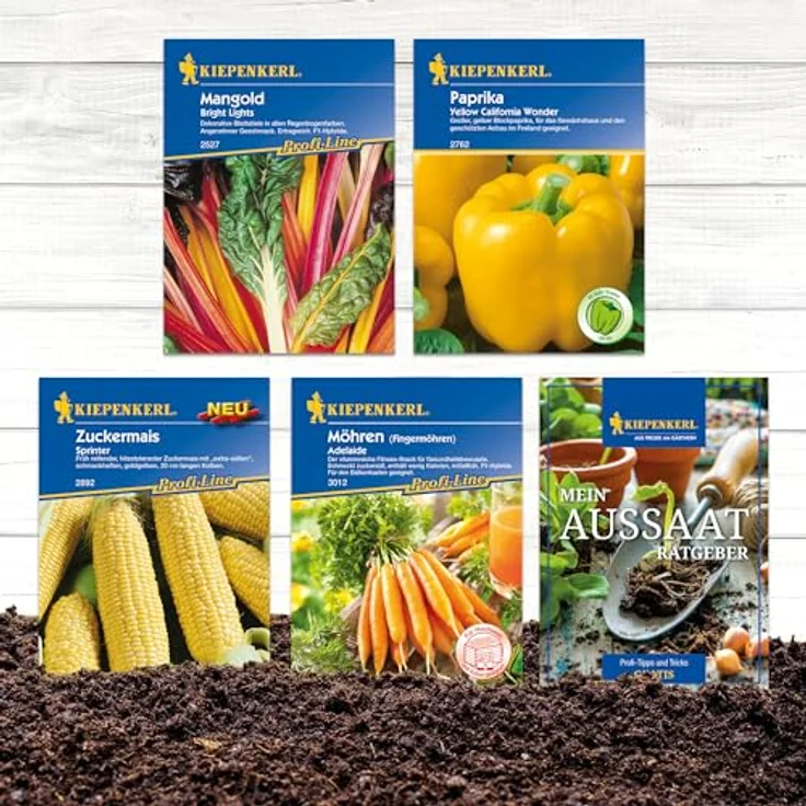 Kiepenkerl Gemüsesamen-Set Trockenheitstolerante Sorten für Klimawandel, inkl. Mangold Bright Lights, Blockpaprika Yellow California Wonder, Zuckermais Sprinter, F1 und Möhre Adelaide, F1 – Bild 3