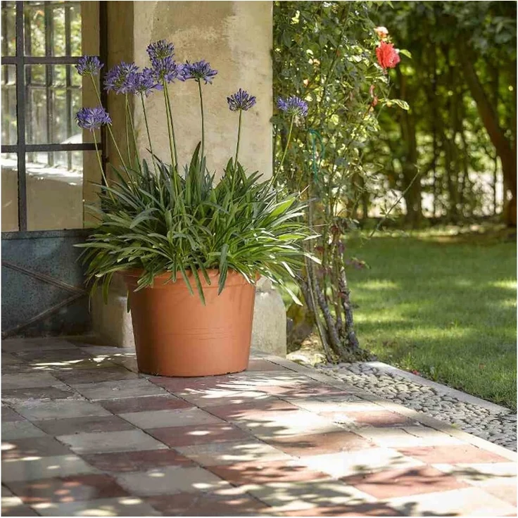 GAUTZSCH Cilindro Pflanzkübel, terracotta, 49x70cm, Polypropylen, montiert – Bild 1