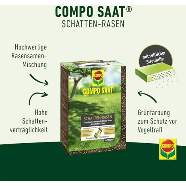 COMPO SAAT Schatten-Rasen, strapazierfähige Rasensamen-Mischung für schattige Lagen, 2 kg für 100 m² – Bild 2