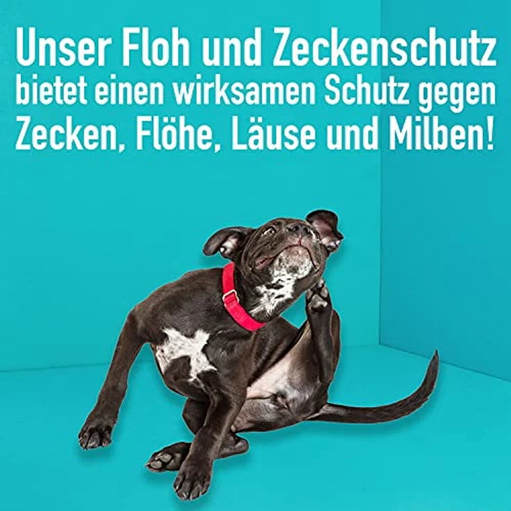 Green Hero Floh- und Zeckenschutz 500 ml das Zeckenspray und Flohmittel für Hunde und Katzen, effektives Flohspray für die direkte Anwendung auf dem Tier bei akutem Befall oder zum Schutz – Bild 4