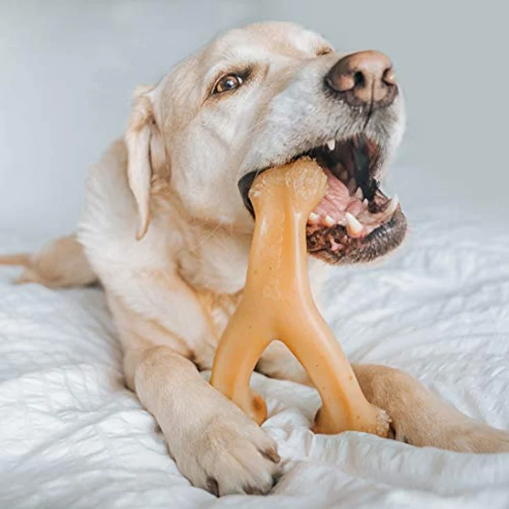 Benebone Wishbone Hundekauspielzeug für Aggressive Kauer, echtes Huhn, groß – Bild 2