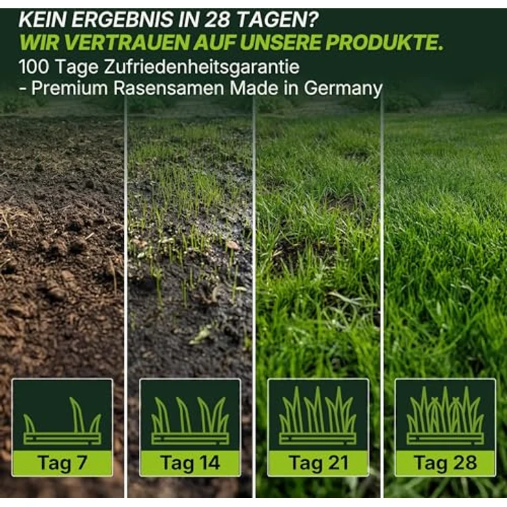 Terrauno Turbo Rasensamen, schnellkeimend für Nachsaat, extrem hohe Keimrate, 1 kg für 50 m², trockenresistent, RSM Qualität – Bild 5