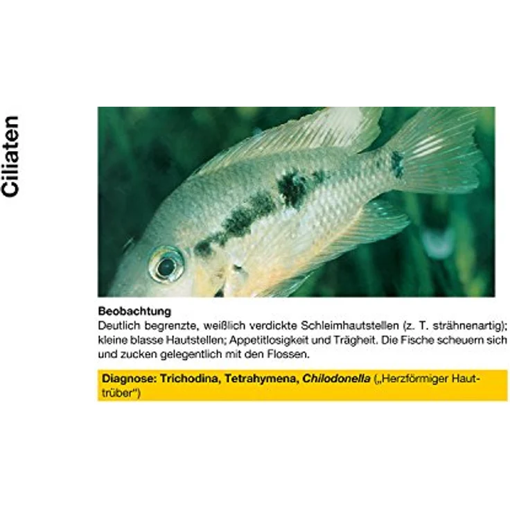 sera costapur F 500 ml, Arzneimittel für Fische gegen Ichthyophthirius multifiliis und Hautparasiten, sichere Heilkraft für Zierfische – Bild 2