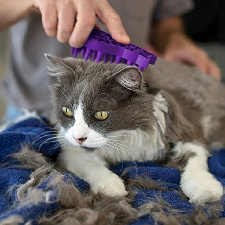 KONG – Cat ZoomGroom – Pflege- und Massagebürste aus Weichem Kautschuk für Katzen – Bild 3