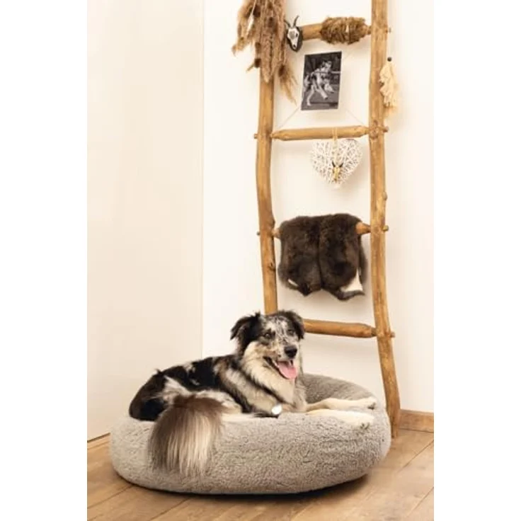 Beeztees Tierbett Jaxx Orthopädisches Hundebett grau 50 x 50 x 20 cm, Gelenkschonend und entspannend – Bild 6