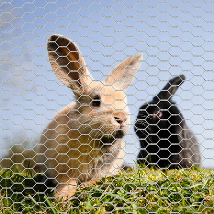 Wiltec Volierendraht 10 x 0,5 m, verzinkter Hasendraht mit 25 mm Maschenweite, wetterfester Hühnerdraht für Gehege – Bild 2