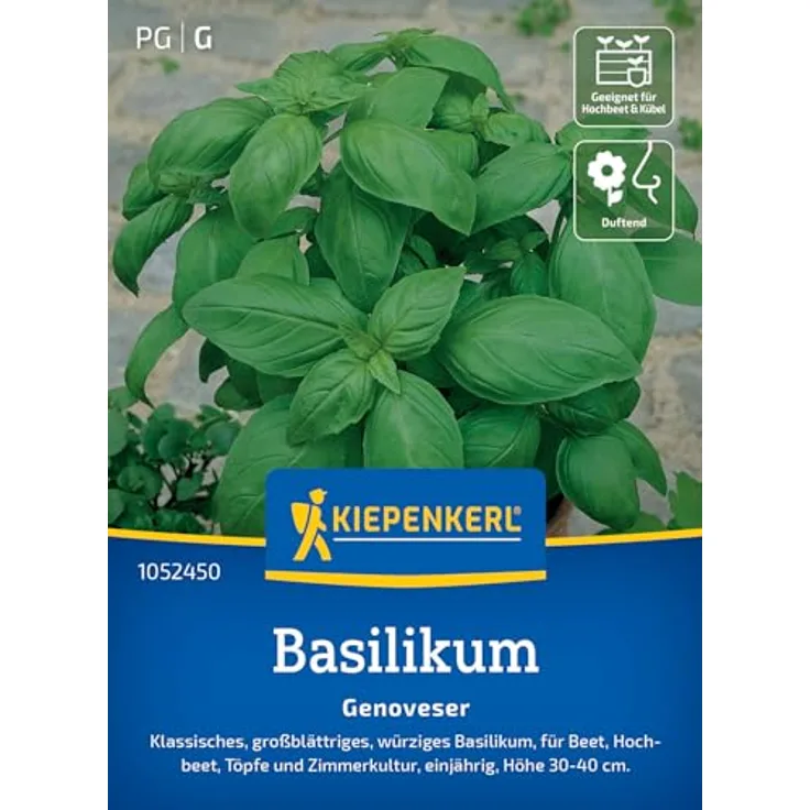 Kiepenkerl Basilikum Genoveser, großblättrige Kräutersamen mit intensivem Geschmack, Wuchshöhe 20 cm - 50 cm