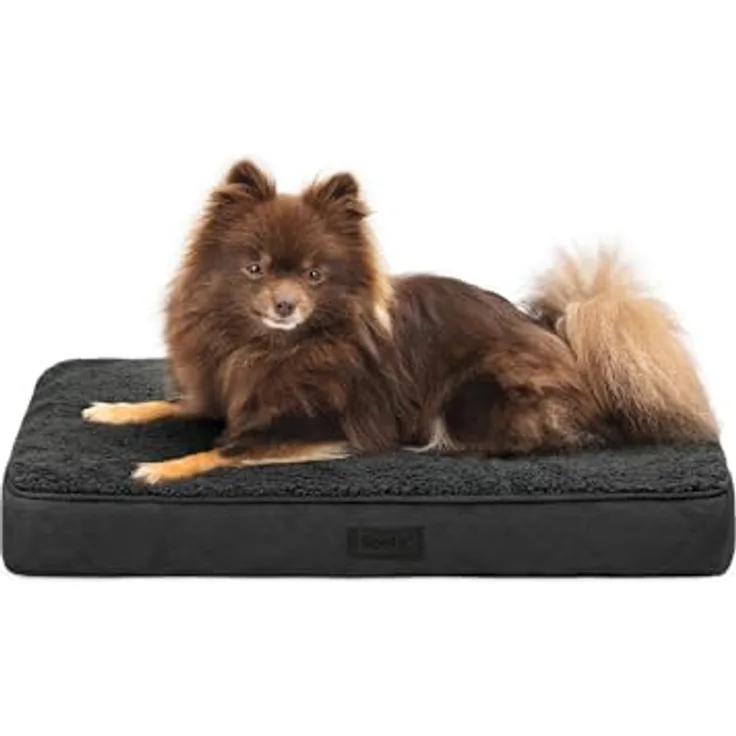 lionto Hundebett orthopädisch, 60x40x8 cm, Robustes Hundekissen mit weichem Plüsch, abnehmbar & waschbar, wasserabweisend, für kleine & große Hunde sowie Katzen geeignet, schwarz