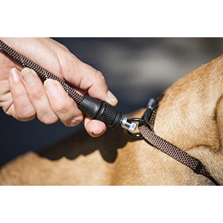 Kerbl GoLeyGo 2.0 Flat Hundeleine mit Klick Magnetverschluss, inkl. Adapter-Pin, Schwarz, M - Preisvergleich – Bild 4