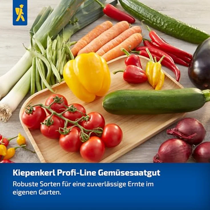 Kiepenkerl Profi-Line Obstsamen Erdbeere Elan, F1, immertragend mit aromatischen, roten Früchten, geeignet für Ampeln und Töpfe, Erntezeit: Mai – Bild 5