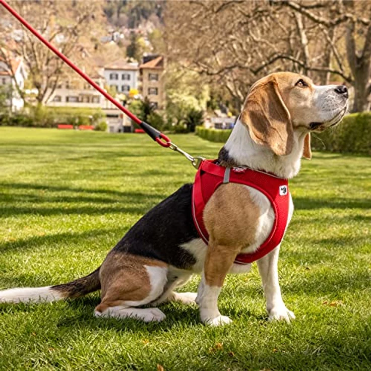Curli Magnetic Vest Harness V2, Hundegeschirr mit optimiertem 3D Comfort Fit, magnetischen D-Ringen, reflektierendem Saum, schwarz, Größe XS – Bild 4
