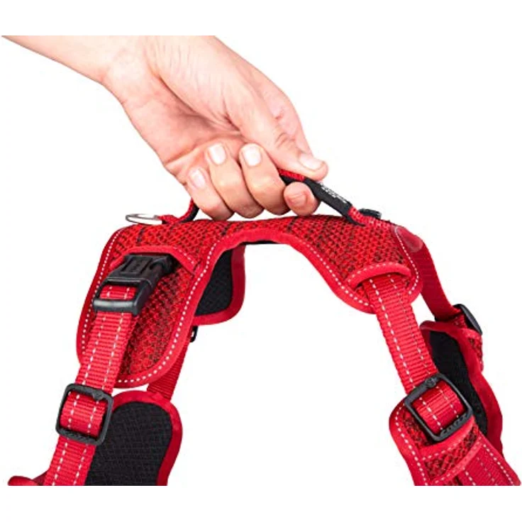 Rogz braces for dog Explore XL SJX05C (width 2,5cm; circumference 66-95cm) (Hund, Hundesport), Halsband + Leine – Bild 3