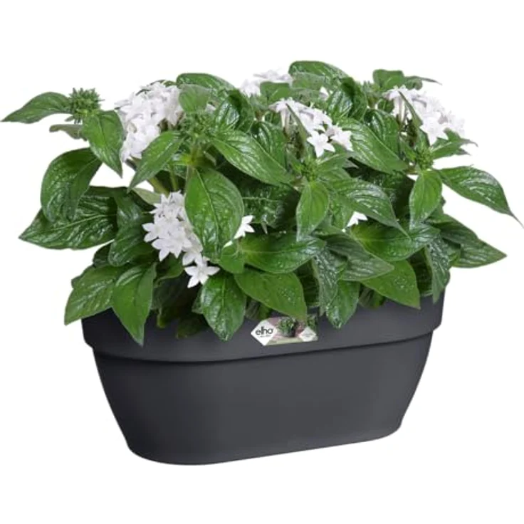 Wandampel Vibia Campana L35 cm anthrazit – Bild 8