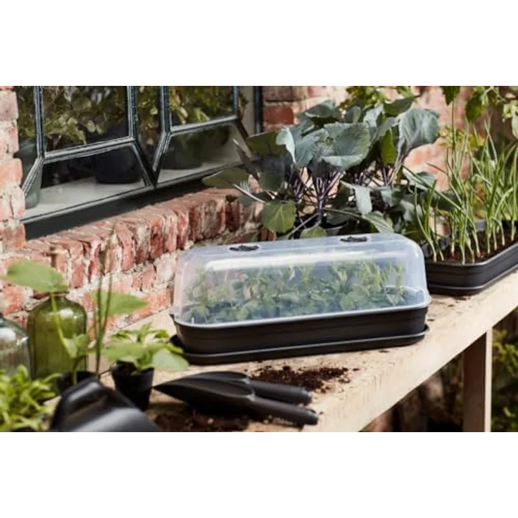 elho Green Basics Anzucht Schale L, Lebhaft Schwarz, 19.5 x 51.2 x 7.5 cm, für drinnen & draußen, frostbeständig und langlebig – Bild 5