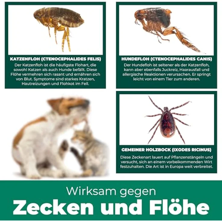 Silberkraft Floh- & Zeckenspray für Hunde und Katzen, 250 ml, mit Zitronen-Eukalyptus-Öl, effektives Repellent – Bild 4