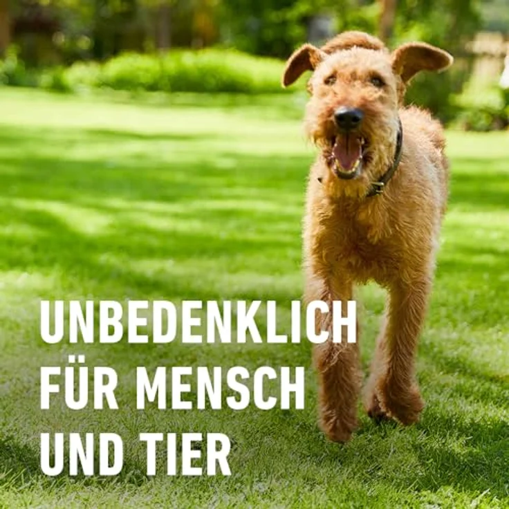 Compo Bio-Rasendünger 20 kg, 100% natürliche Inhaltsstoffe, für 500 m² Rasenfläche, staubarm und unbedenklich für Mensch und Tier – Bild 6