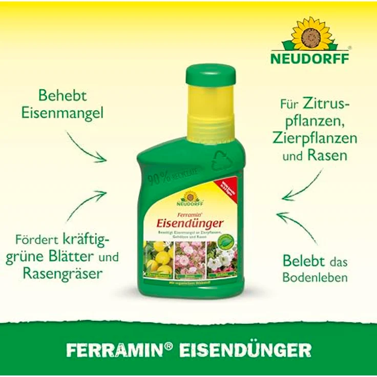Neudorff Ferramin Eisendünger, Natürlicher Eisendünger für Zitruspflanzen, Zierpflanzen und Rasen, 250 ml für kräftig-grüne Blätter und verbesserte Photosynthese – Bild 2