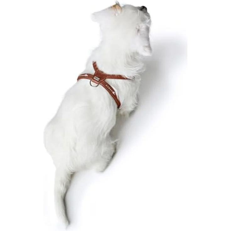 Hunter Tierbedarf Hunde-Geschirr Round & Soft Canadian Up schwarz, leichtes Premiumleder-Geschirr für kleine Hunde – Bild 5