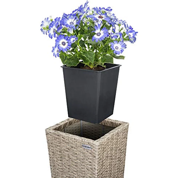 Casaria® Blumentopf 3er Set Polyrattangeflecht Übertopf Wasserabfluss Rattanoptik Outdoor Pflanzkübel Blumenkasten Creme – Bild 3