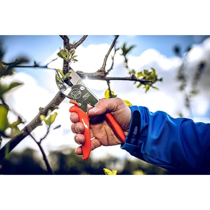 Original Löwe 10.107 Gartenschere, Metall mittelgroß – Bild 2