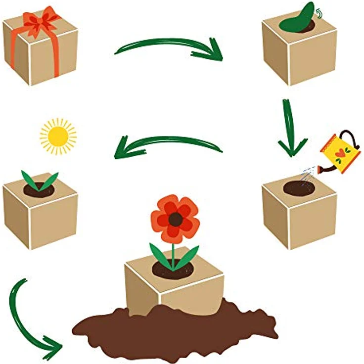 Feel Green Celebrations Ecocube, Anzuchtset mit Sonnenblumen Bio Samen, Holzwürfel mit Lasergravur «Für Dich Soll Immer Die Sonne Scheinen», nachhaltig, Made in Austria, Green – Bild 2