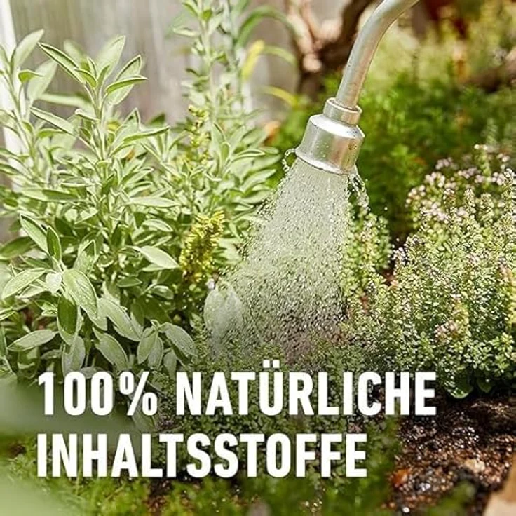 Compo BIO Kräuterdünger 500 ml – Bild 7