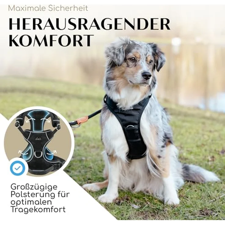 FREUDENTIER® Hundegeschirr mit atmungsaktiver Mesh-Polsterung - Höchster Komfort & bombenfester Sitz - Mit Anti-Zieh-Frontring - Brustgeschirr für große, mittelgroße und kleine Hunde (Black, L) – Bild 3